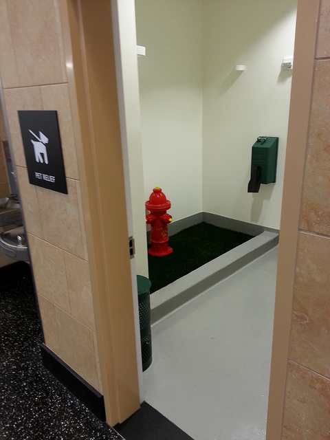 airport_pet_bathroom