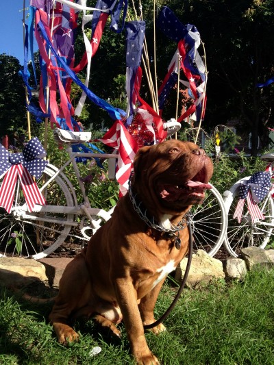 Julius on fourth of july