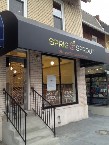 sprig_and_sprout_glover_park