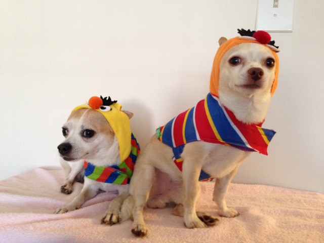 Bert&Ernie