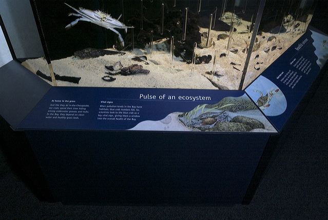 National Zoo’s Invertebrate Exhibit, “home to dozens of small aquatic ...