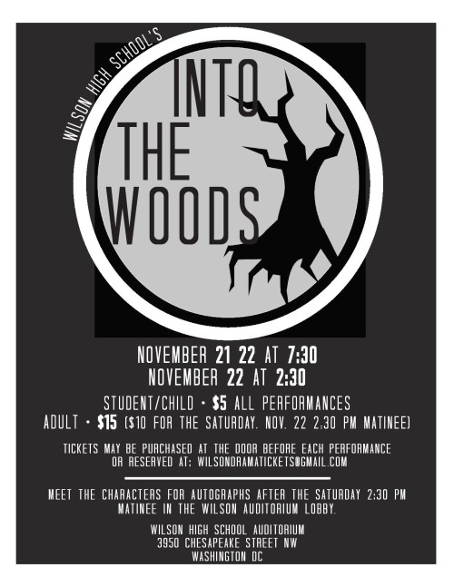 flyer.intothewoods (1) (1)-page-001