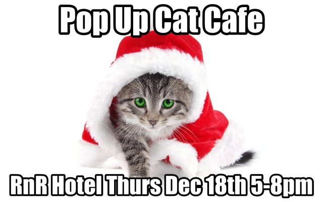 pop_up_cat_cafe