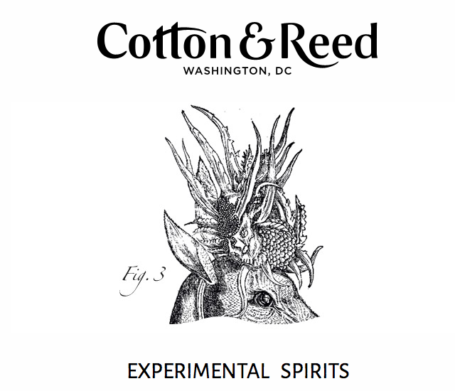 cotton reed