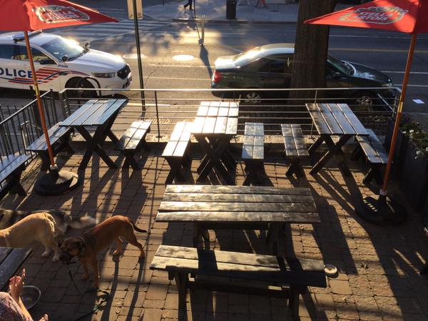 airedale patio open pups on patio