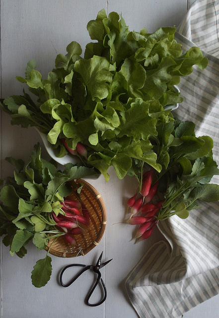 Lettuce and radishes, Dupont Circle
